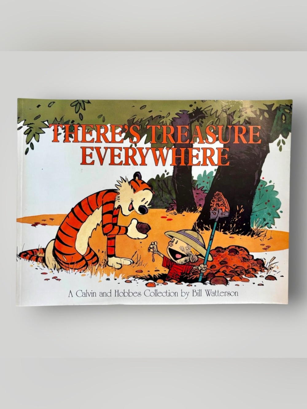 There's Treasure Everywhere: A Calvin and Hobbes Collection Comics Humor